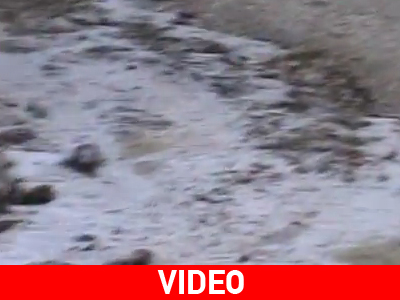 Στα «λευκά» τα ορεινά της Ρόδου