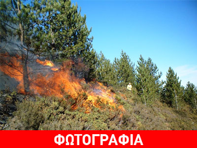 Στις φλόγες δασική έκταση στη Ρόδο
