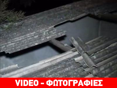 Αγελάδα καταπλάκωσε 45χρονο στη Βραζιλία