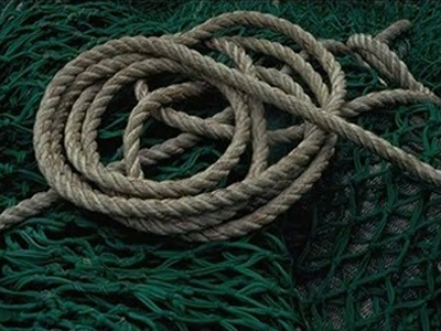 Ισημερινός: Απελευθέρωση ομήρων στα σύνορα με την Κολομβία