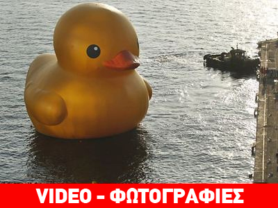 Αποθεώθηκε το πλαστικό παπί στην Ταϊβάν