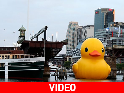 Πλαστικό παπί τεραστίων διαστάσεων στο Σύδνεϋ Πλαστικό παπί τεραστίων διαστάσεων στο Σύδνεϋ