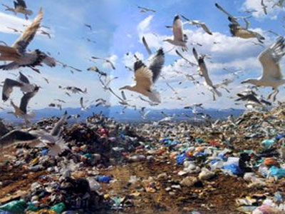 Οργή Δούρου για τη μεταφορά 4.000 τόνων σκουπιδιών στη Φυλή από την Τρίπολη