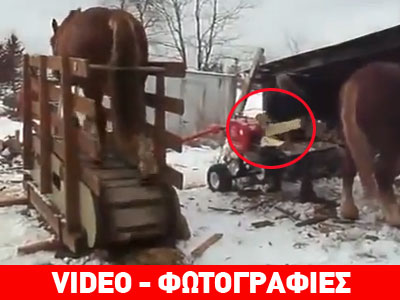 Ρωσία: Άλογο θέτει σε κίνηση ηλεκτρικό πριόνι!