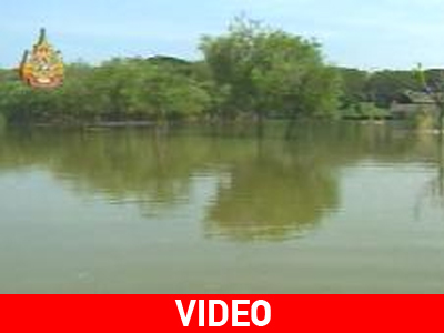 Δεν υποφέρουν μόνο οι άνθρωποι στην Μπανγκόκ