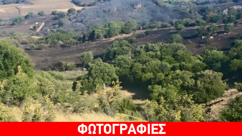 Στις φλόγες η Σαμοθράκη