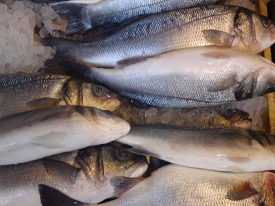 Κατάσχεση αλιευμάτων στη Μηχανιώνα