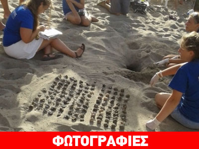 Χανιά: Γεννητούρια στην παραλία της Αγίας Μαρίνας!