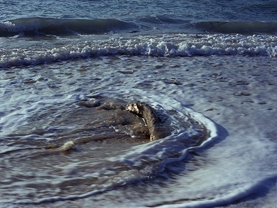 Μοιραίο μπάνιο για ηλικιωμένο στον Άγιο Ανδρέα