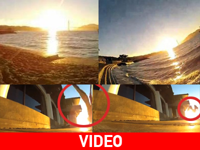 Η.Π.Α.: Γλάρος «κλέβει» κάμερα!