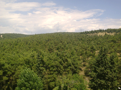 «Πρεμιέρα» για την εθελοντική περιφρούρηση του Σέιχ Σου