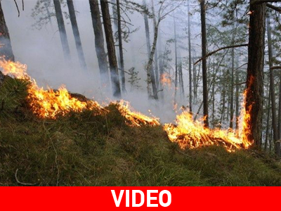 Πύρινη λαίλαπα στη Σερβία
