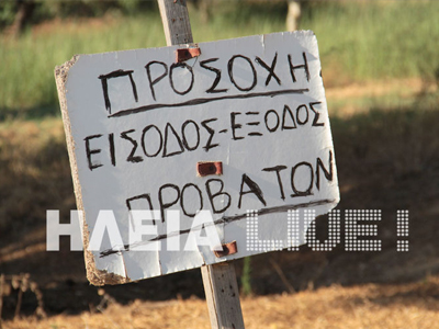 Προνοητικός ο βοσκός!