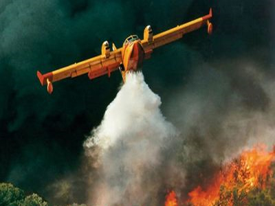 Πυρκαγιά μαίνεται στην παραλία του Σχοινιά