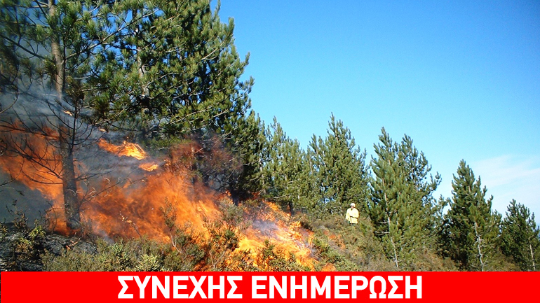 Σε εξέλιξη πυρκαγιά στην Κυπαρισσία