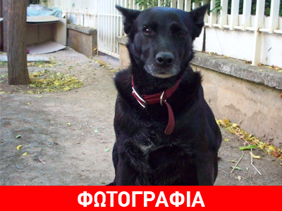 Χαρίζεται η κουκλίτσα!