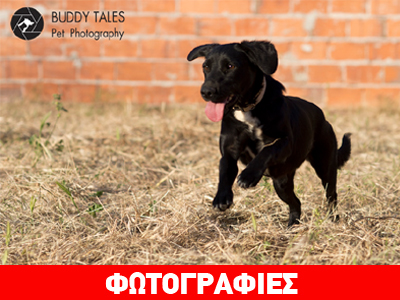 Χαρίζεται η όμορφη Αμέλια