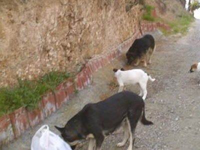 «Μην τα εγκαταλείπετε»