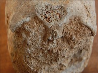 Βρέθηκε το αρχαιότερο κοιμητήριο της Βρετανίας