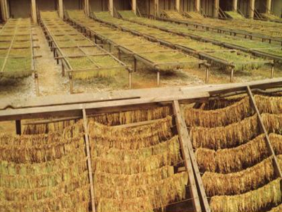 Εξιχνίαση διάρρηξης σε ξηραντήριο καπνού