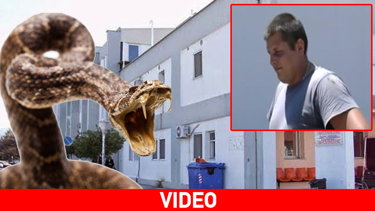 Βέροια: Ούτε φάρμακα ούτε κρεβάτι για ασθενή που τον δάγκωσε φίδι και νοσηλεύτηκε σε… αυτοκίνητο!