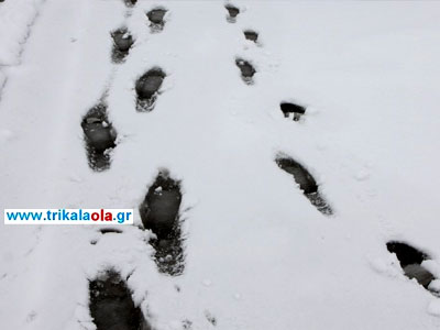 Σε ποιες περιοχές των Τρικάλων δεν λειτουργούν σήμερα τα σχολεία