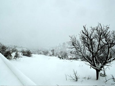 Με μια ώρα καθυστέρηση η έναρξη των μαθημάτων σε Φλώρινα, Γρεβενά, Χαλκιδική
