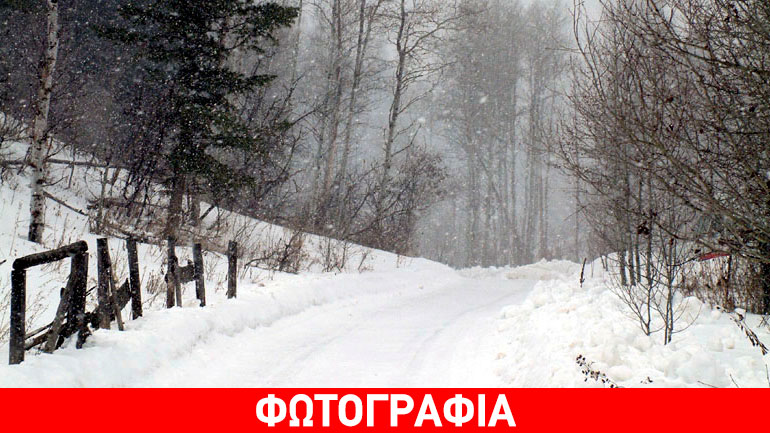 Πρώτα χιόνια στο Βίτσι