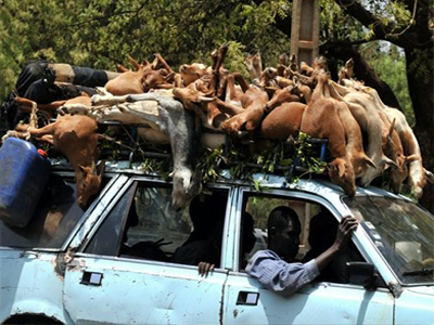 Αναστολή οικονομικής βοήθειας προς το Μάλι