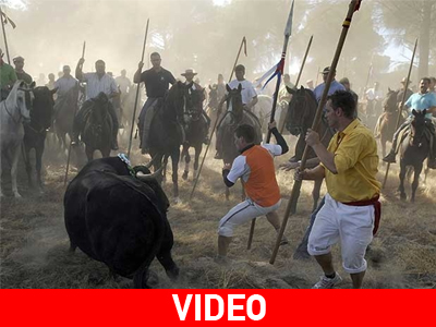 Ισπανία: Αντιδράσεις για το «El Toro de la Vega»