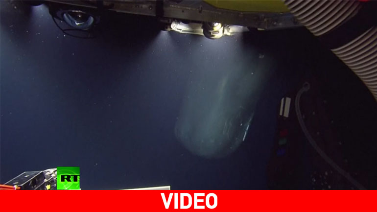 Μια απροσδόκητη συνάντηση στον βυθό του Ατλαντικού