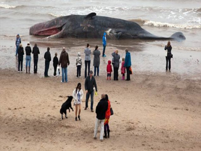 Εκβράστηκε φυσητήρας στη Βρετανία