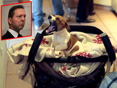 Σσσς!!!! Μην το μάθει ο Στουρνάρας….