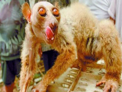 «Άνθρακας» οι…εξωγήινοι