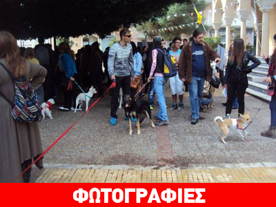 Παράσταση διαμαρτυρίας για τα αδέσποτα στους Αγίους Θεοδώρους