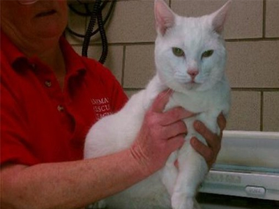 Έπεσε από τον 19ο όροφο και… σώθηκε!