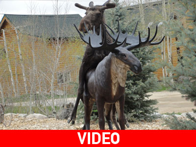 Ανεκπλήρωτος έρωτας για τάρανδο