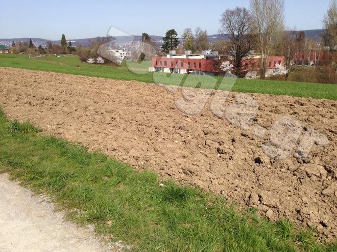 Η πίσω πλευρά του σπιτιού του Θέμου Αναστασιάδη