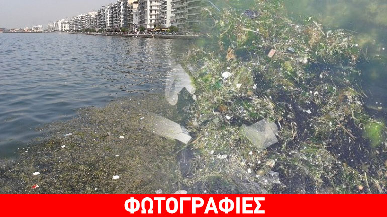 Γέμισε σκουπίδια ο Θερμαϊκός