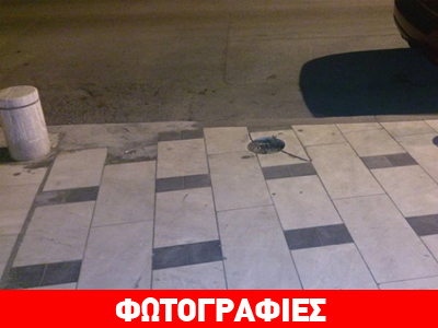 Θεσσαλονίκη: Κολωνάκι… φύτρωσε μέσα σε δέντρο