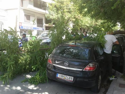 Θεσσαλονίκη: Ισχυροί άνεμοι ξήλωσαν δέντρα, κολώνες και πινακίδες