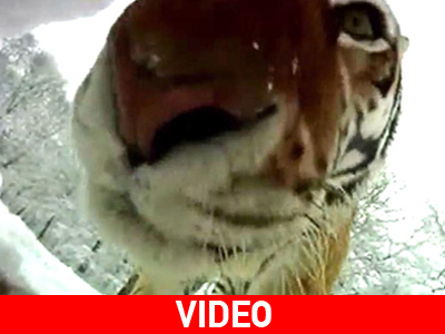 Πήγε για… μεζέ και έφαγε χιόνι!