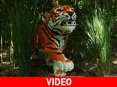 Η.Π.Α.: Άγρια ζώα από… τουβλάκια για ένα καλύτερο μέλλον