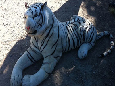 Τσάμπα ανησύχησαν