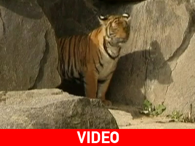 Ευκαιρία για κοινωνικοποίηση…