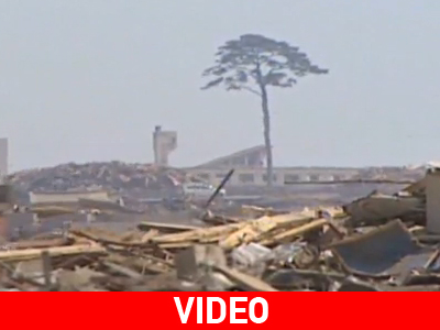 Το «δέντρο της ελπίδας»