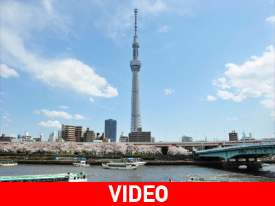 Το Τόκιο στο… πιάτο σας!