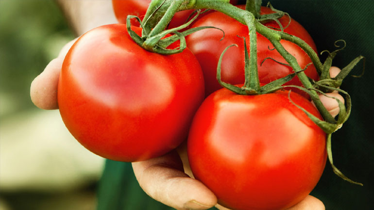 Δέσμευσαν τρεις τόνους ντομάτα στη λαχαναγορά του Ρέντη