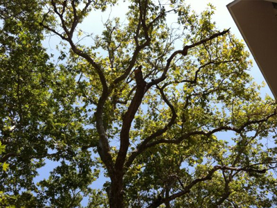 Έπιασαν δουλειά τα συνεργεία στη Λαμία