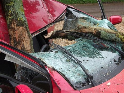 Ηλεία: Κορμός δέντρου έπεσε στην οροφή ΙΧ